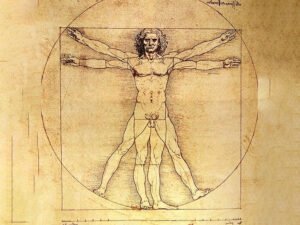 O Homem Vitruviano de Leonardo da Vinci O Homem Vitruviano de Leonardo da Vinci